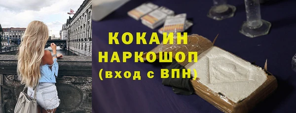шишки Сатка