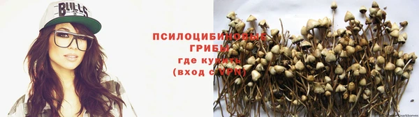 a pvp Баксан