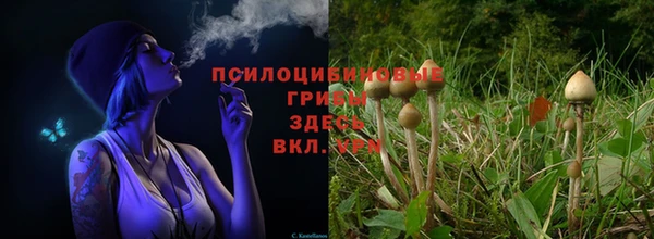 гашик Беломорск